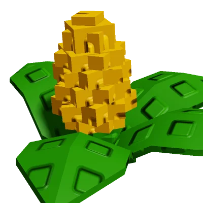 Corn